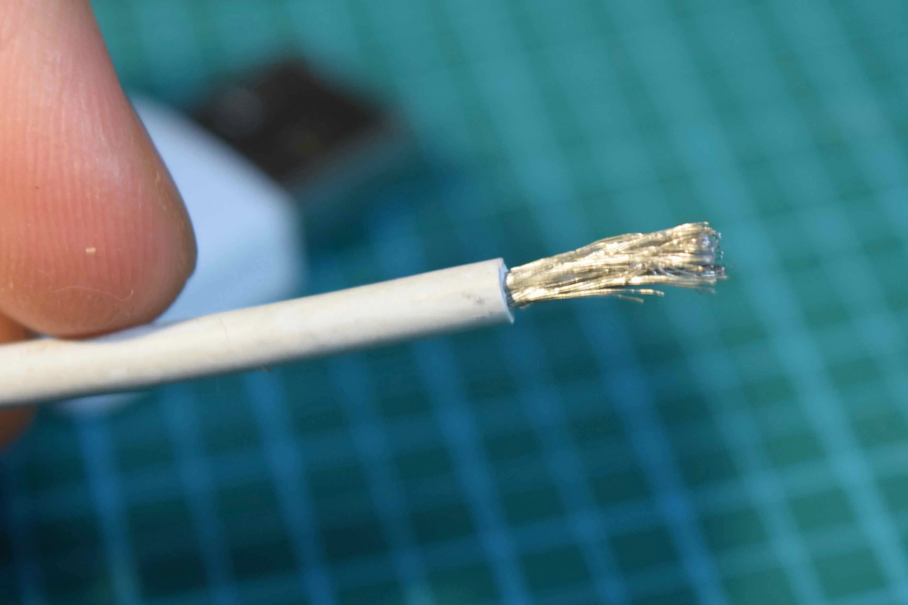 皮膜を剥いた状態