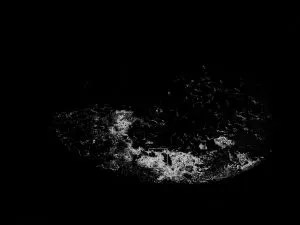 カレーライスの画像